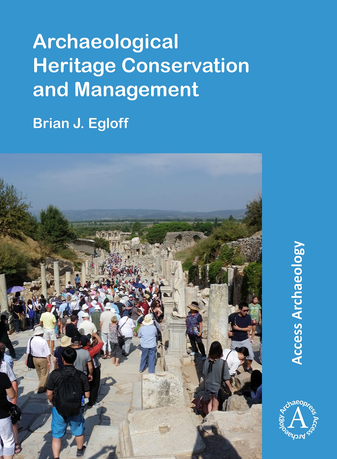 Archaeological Heritage Conservation and Management - Best Practices for Preserving Cultural Artifacts | Museum & Site Preservation Solutions