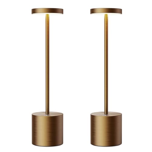 2 Pack Titanium