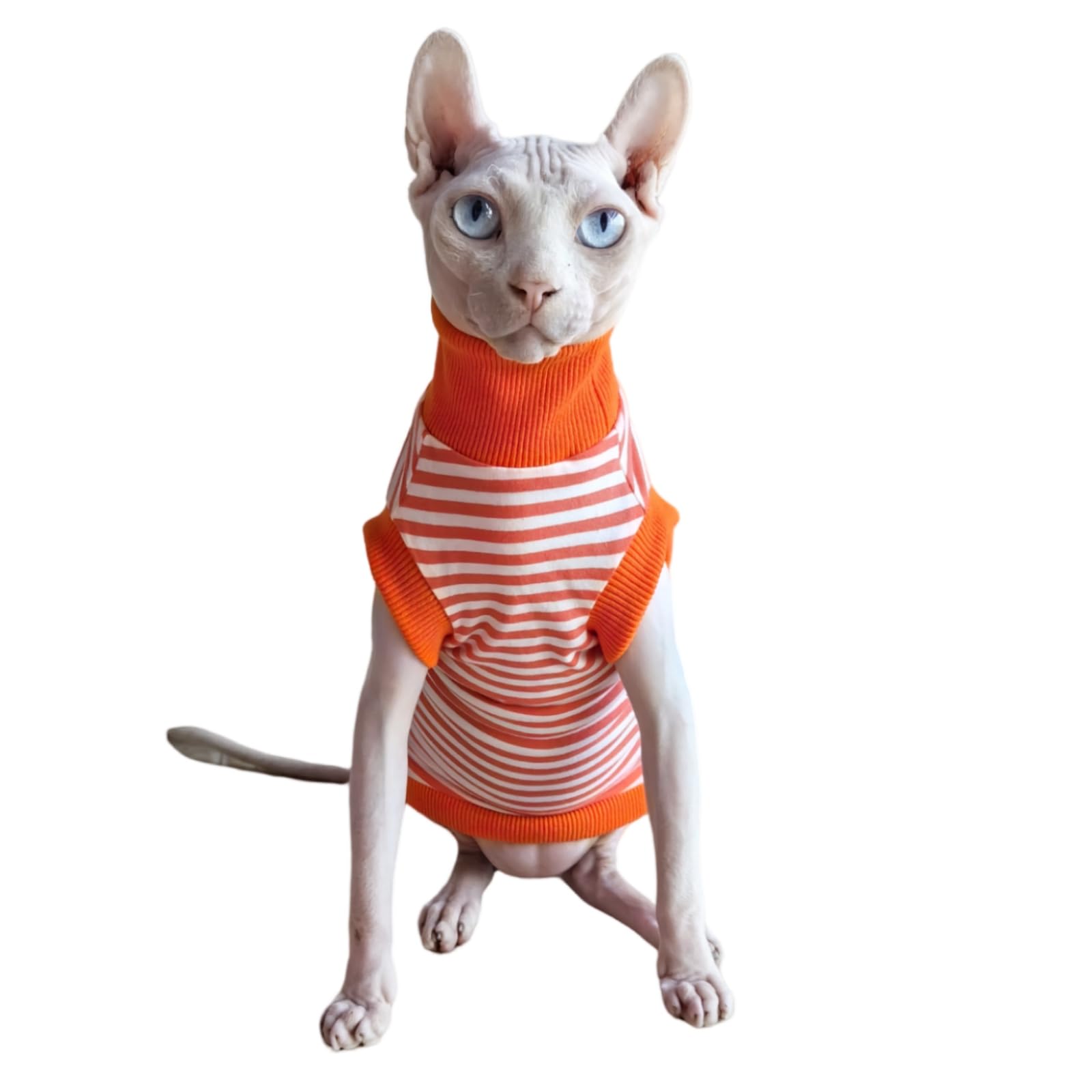 Sphynx Hairless Cat Summer Cotton T-Shirt - Breathable Sleeveless Pet Vest with Round Collar - Comfortable Kitten & Small Dog Apparel (X-Large, Orange Stripes) - Perfect for Summer Outings & Indoor Playtime