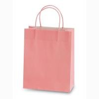 Pastel Pink Gift Bags 6 Pack - 10.5x12.5x5.5 Inches Small Paper Bags for Party Favors, Wedding Gifts, Birthday Presents & Retail Packaging