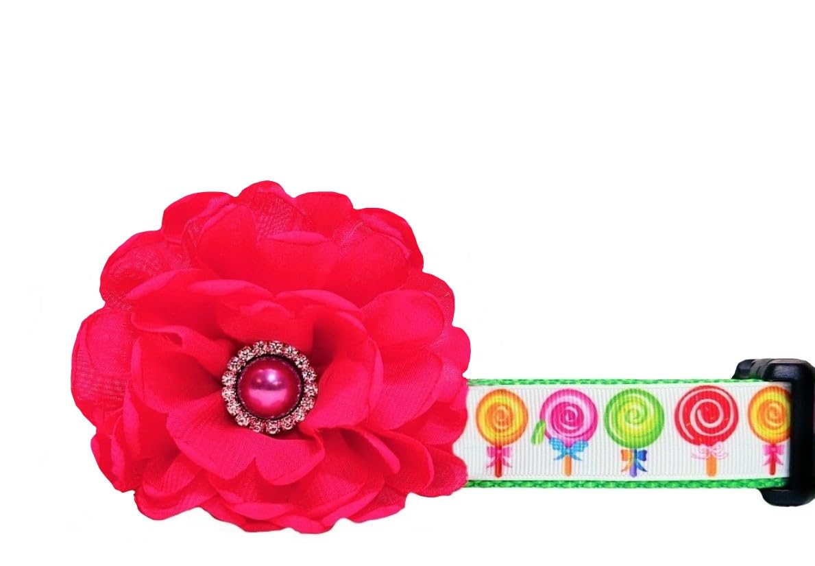 Colorful Lollipop Candy Dog Collar - Sweet & Fun Pet Accessory for Small & Medium Dogs - Perfect for Halloween, Birthday Parties & Costume Events