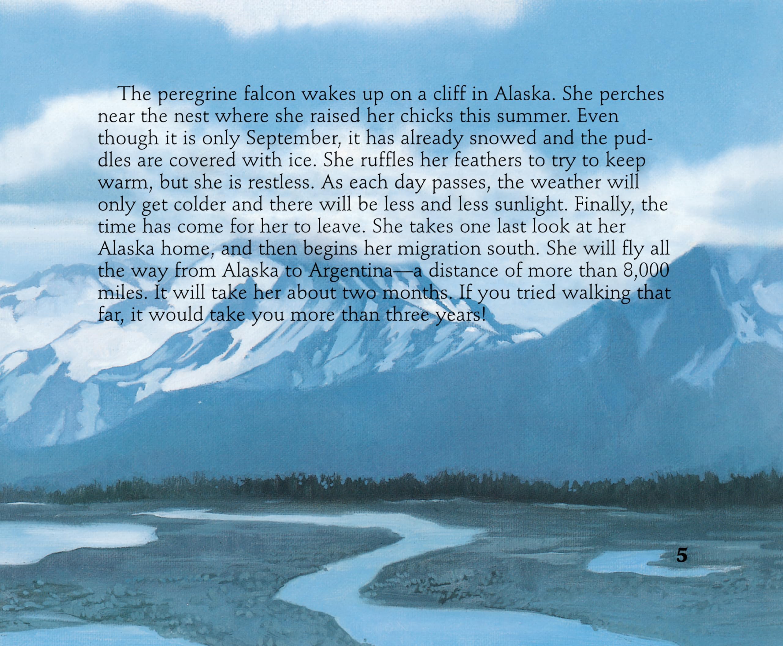 The Peregrine's Journey: A Story of Bird Migration - Perfect for Nature Lovers, Bird Watchers & Educational Reading