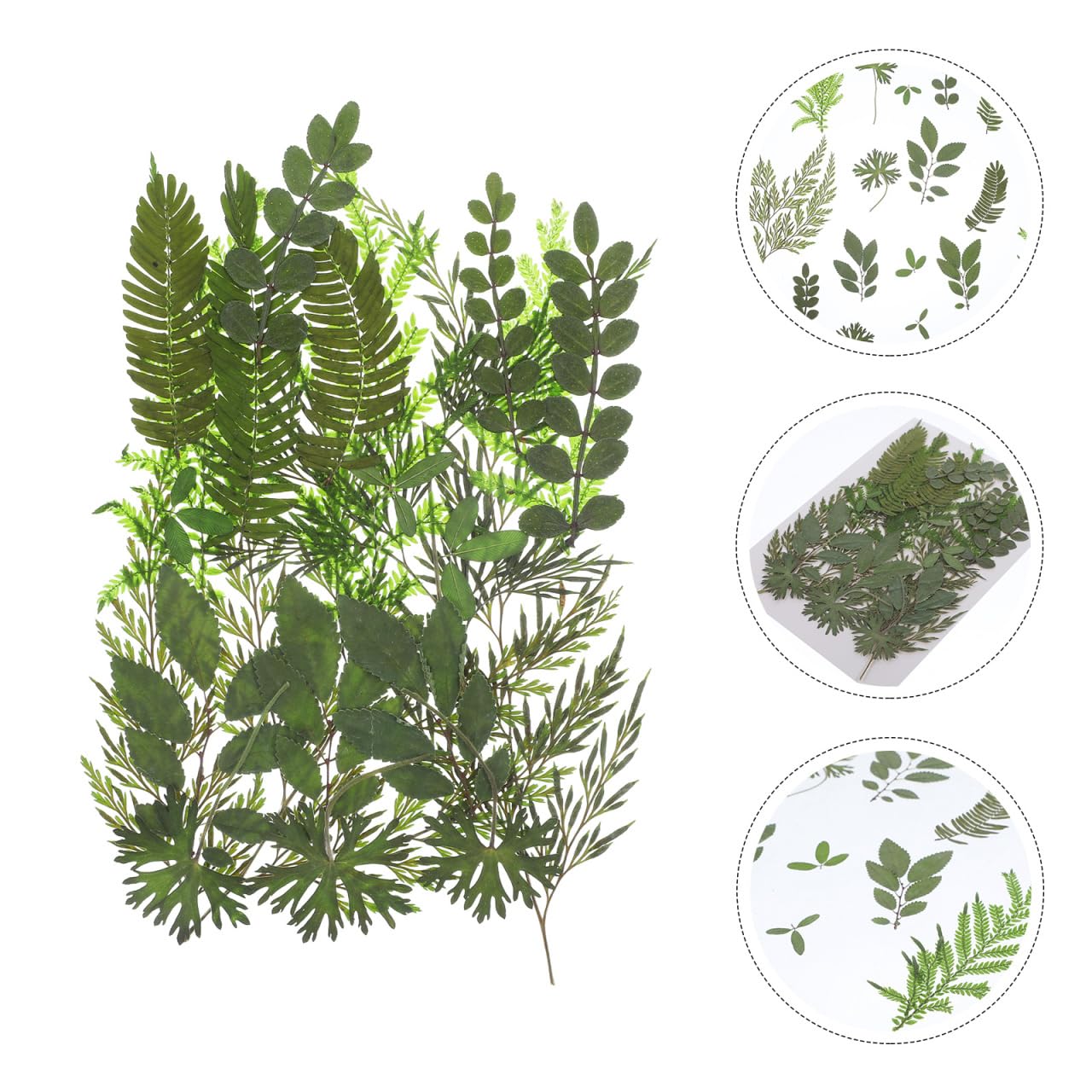 Artibetter Real Dried Pressed Leaves - 7 Natural Botanical Specimens for DIY Crafts, Candle Making, Scrapbooking, Wedding Invitations & Home Decor - Perfect for Nature-Inspired Art Projects (Style 1)