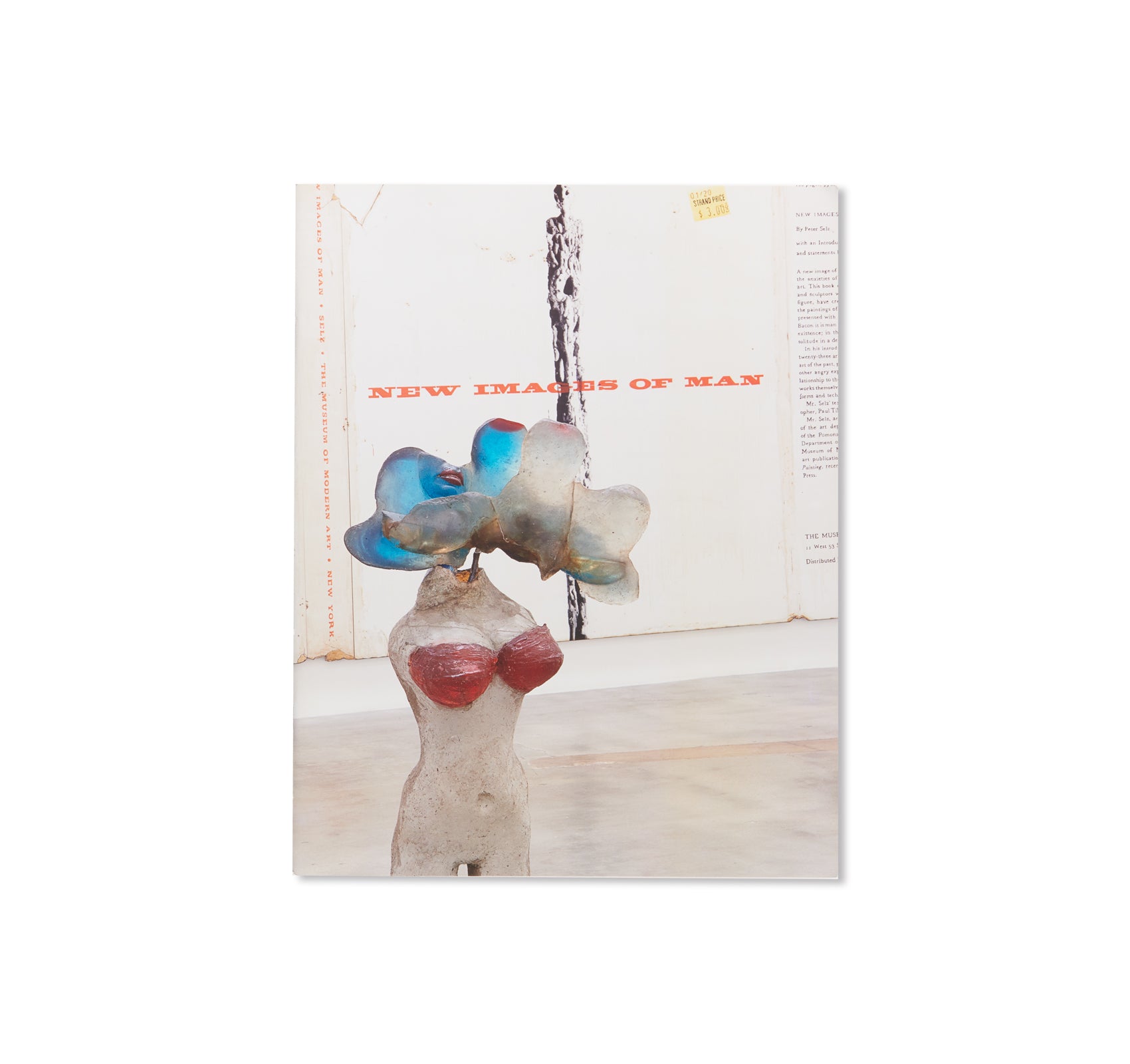 NEW IMAGES OF MAN by Alison M. Gingeras - Contemporary Art Book - Photography & Portraiture Collection - Perfect for Art Enthusiasts, Collectors, and Coffee Table Displays