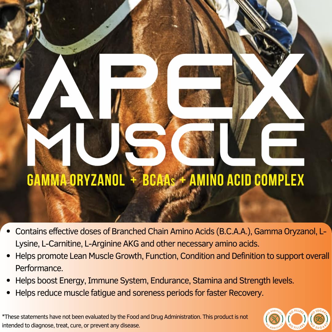 Apex Muscle Builder for Horses - Energy, Endurance, Stamina & Strength Supplement with Immune Support - 3.3 lb (60 Servings) - Ideal for Performance Horses, Race Training & Recovery After Competition
