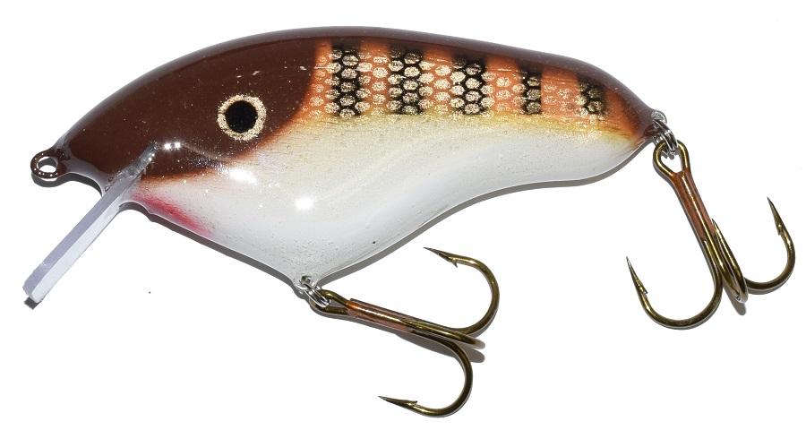 green perch/yellow belly