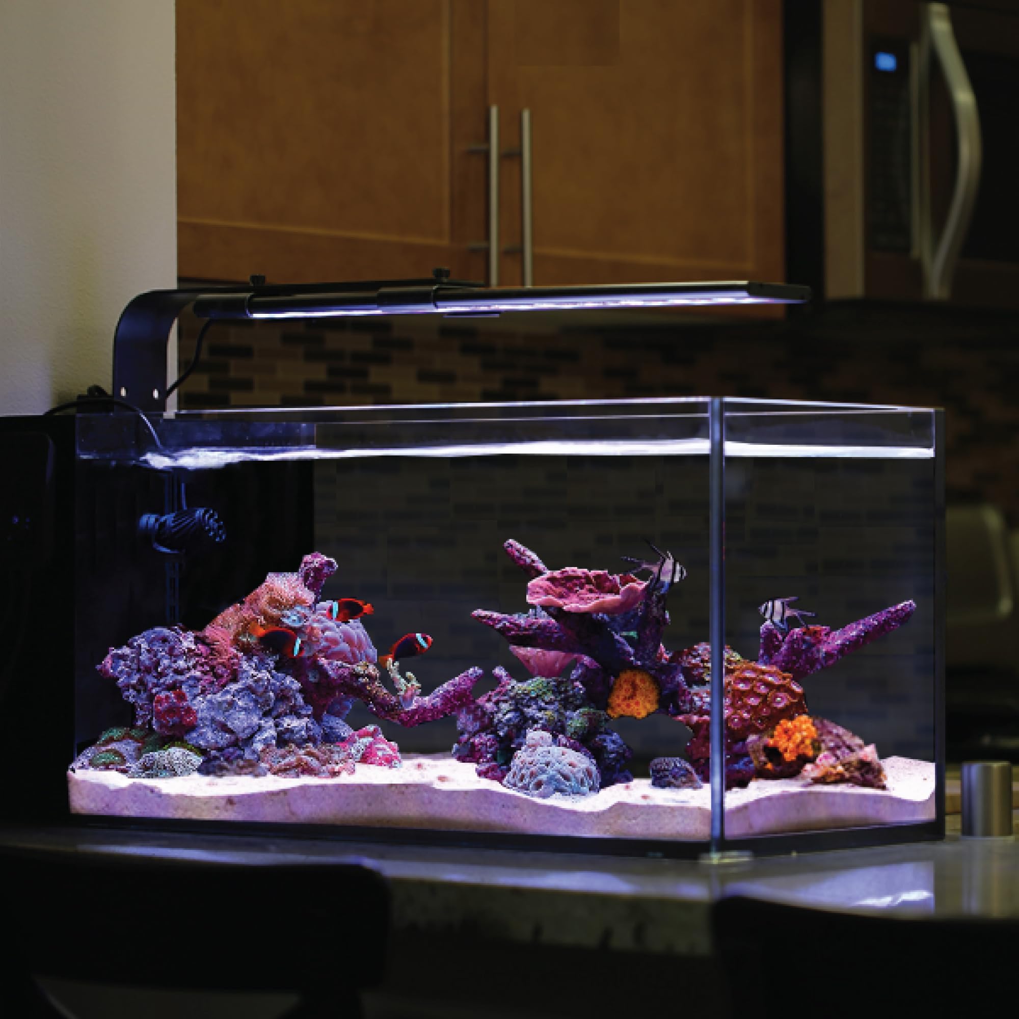 CURRENT USA Orbit Marine LED Aquarium Light 48-60 Inch with Bluetooth App Control | Wireless Saltwater Reef Lighting & eFlux Wave Pump Control for Fish Tank | Perfect for Coral Growth & Marine Life in Home or Office Aquariums (Model 4203)