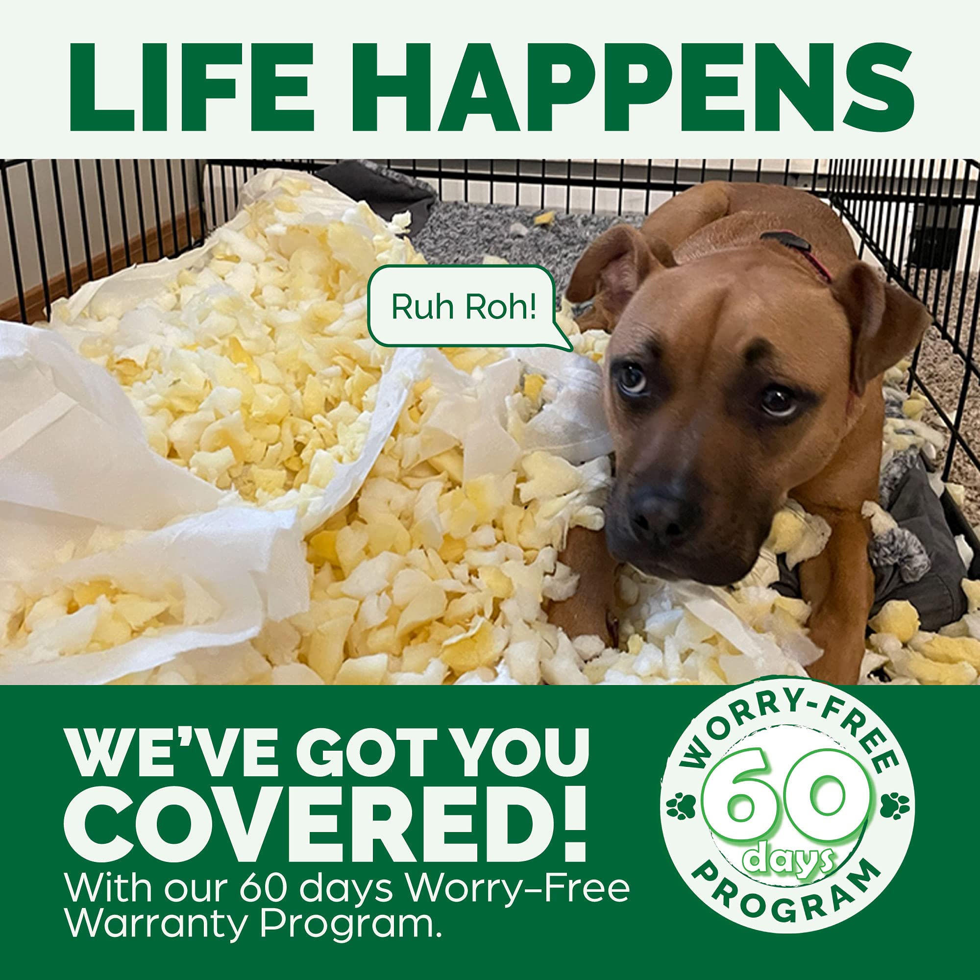 Furhaven Orthopedic Dog Bed for Small & Medium Dogs - Plush Velvet Sofa with Removable Bolsters & Washable Cover - Supports Up to 35 lbs - Celadon Green Medium Size - Perfect for Pets with Joint Pain or Post-Surgery Recovery