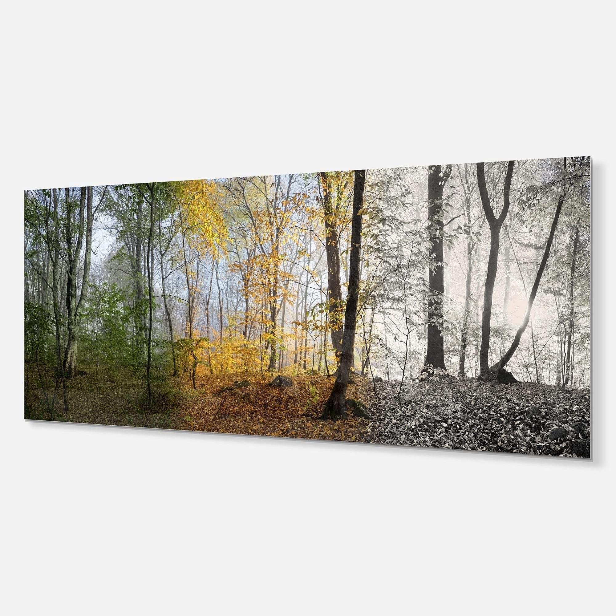 Designart Forest in Early Morning Landscape Photo - 5 Panel Metal Wall Art Decor 60x28 Inches - Modern Nature Scenery for Living Room, Bedroom & Office (MT8160)