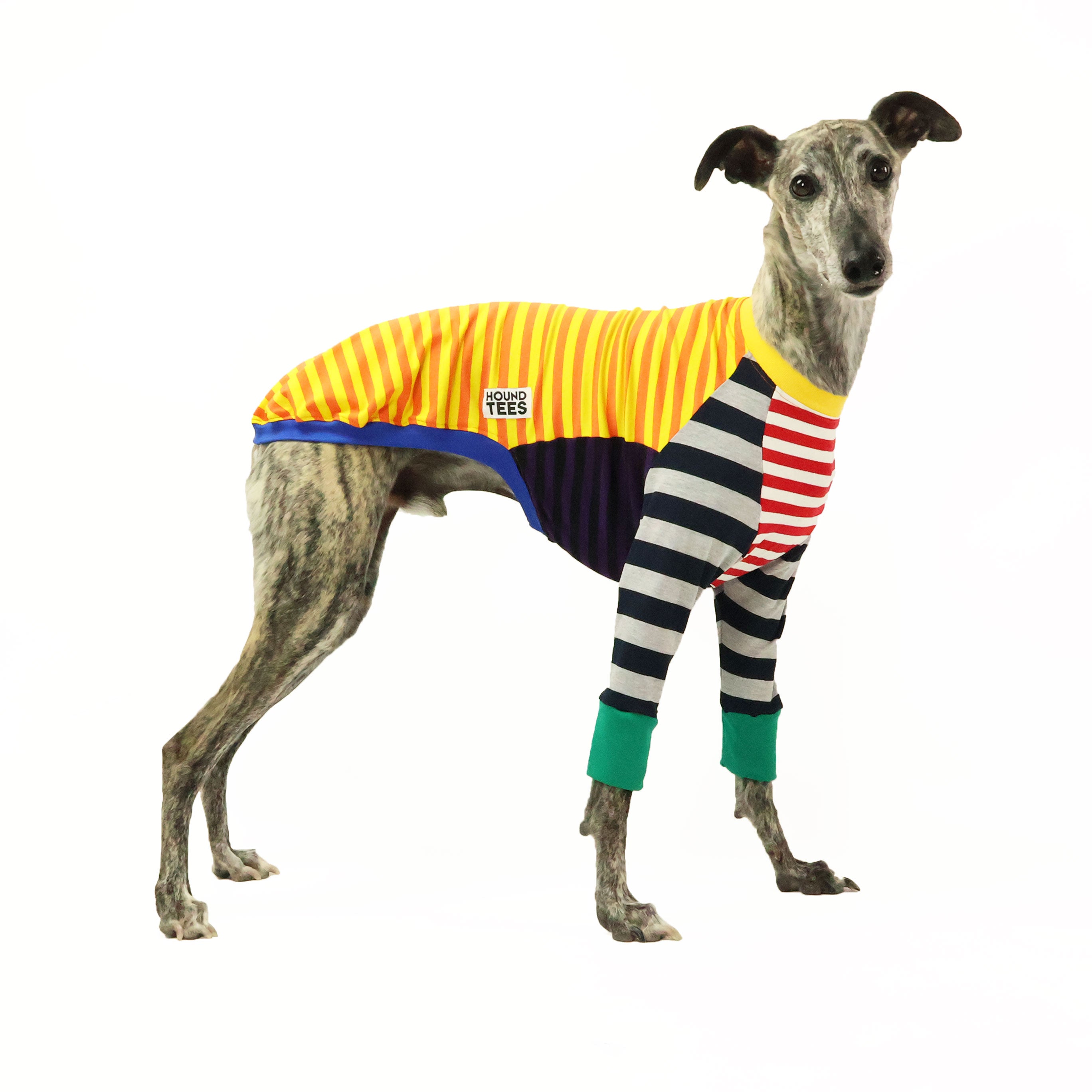 Frankie Whippet Long Sleeve Hound T-Shirt - Cute Dog Lover Apparel for Women & Men - Perfect for Casual Wear, Dog Walks & Pet Lover Gifts
