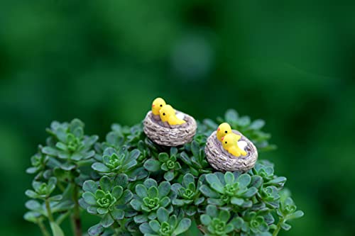Birdnest