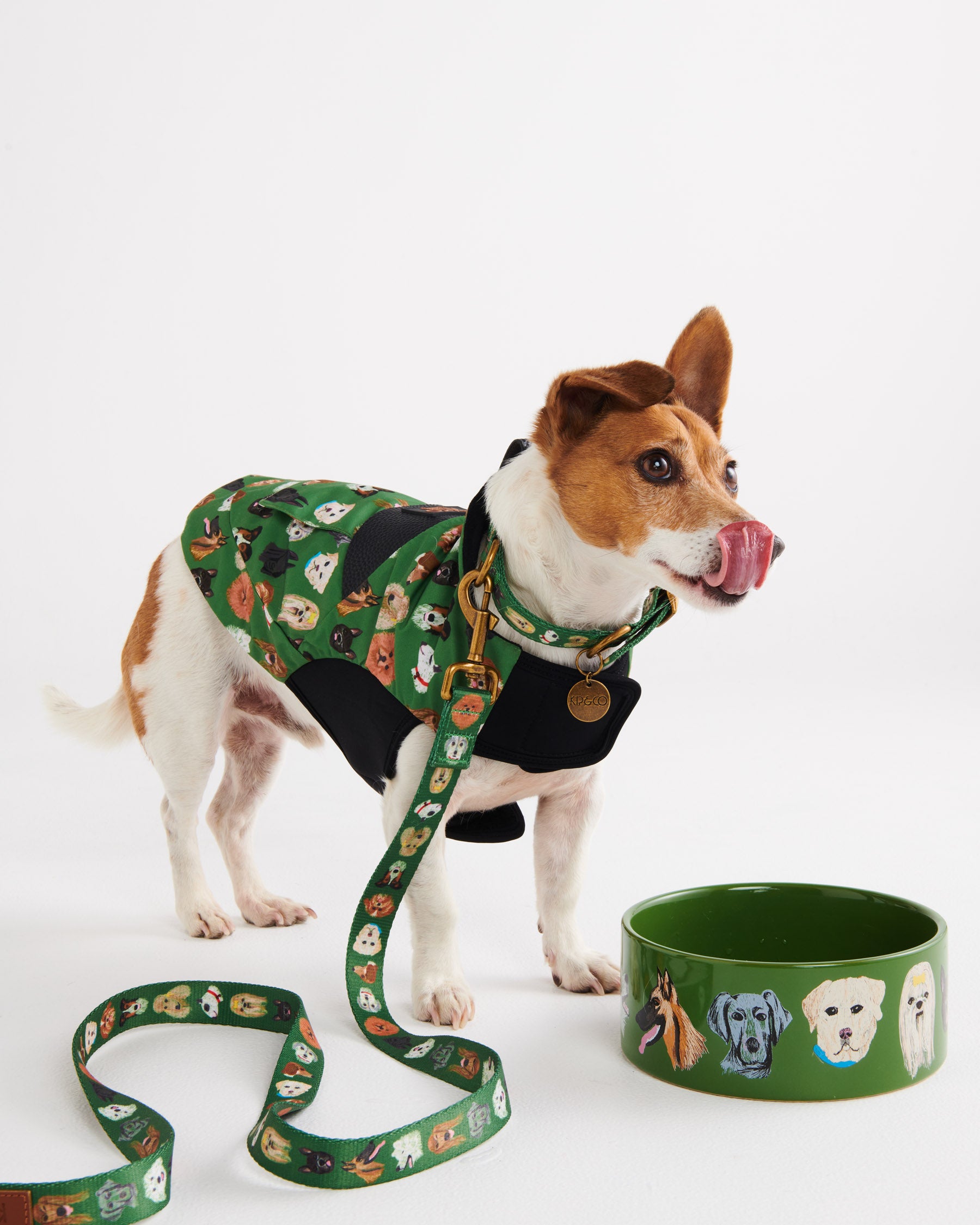 Waterproof Reflective Dog Jacket for Small & Large Breeds - Lightweight & Warm Winter Coat for Outdoor Adventures, Hiking, and Dog Park Playtime