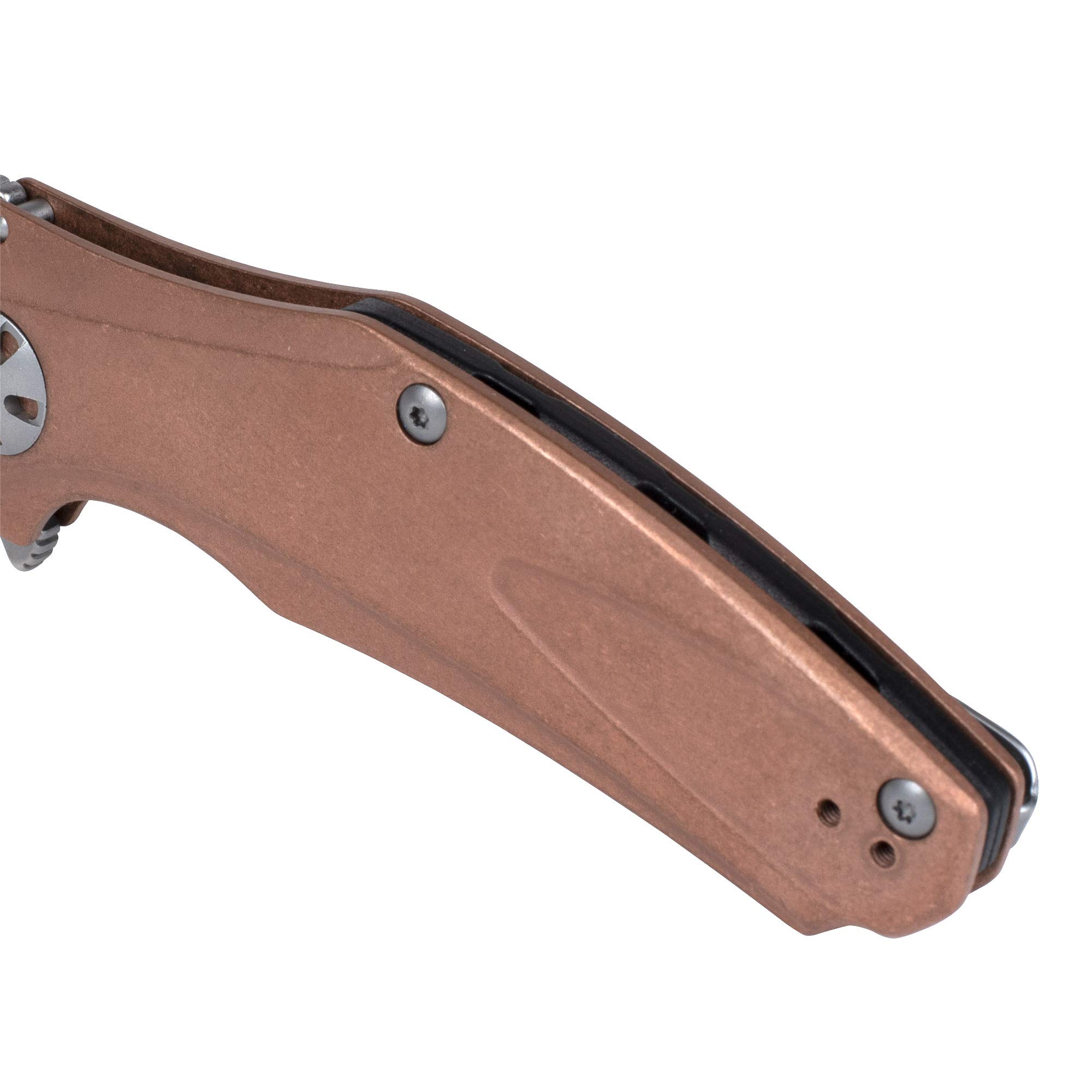 Kershaw Natrix Folding Pocket Knife - Drop Point Blade, Sub Frame Lock, KVT Ball Bearing Opening - EDC, Camping, Hiking & Outdoor Survival Gear