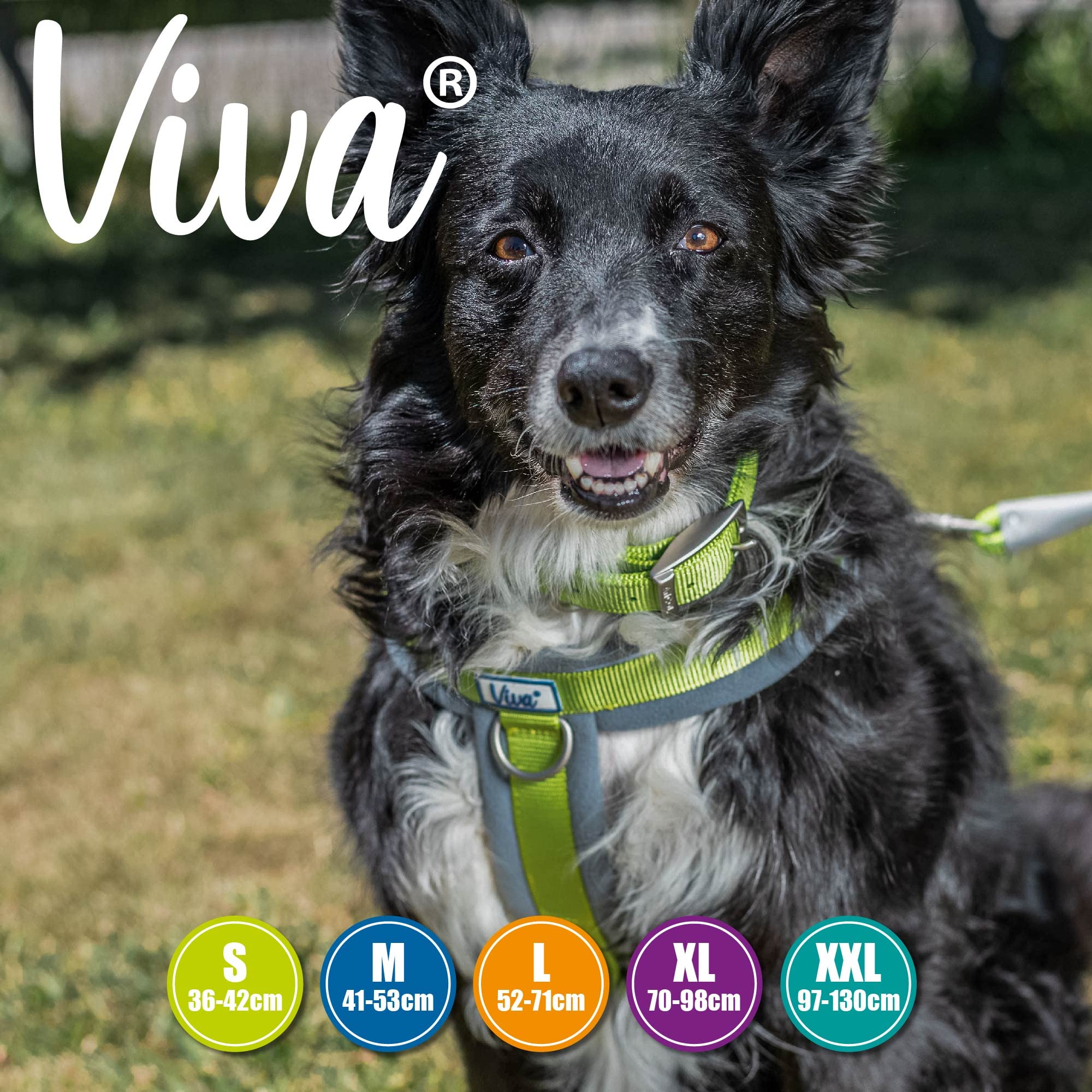 Ancol Viva Padded Strong Dog Chest Harness - Medium Size, Lime Green - Comfortable & Secure Walking Harness for Medium Dogs - Perfect for Outdoor Adventures, Training & Daily Walks