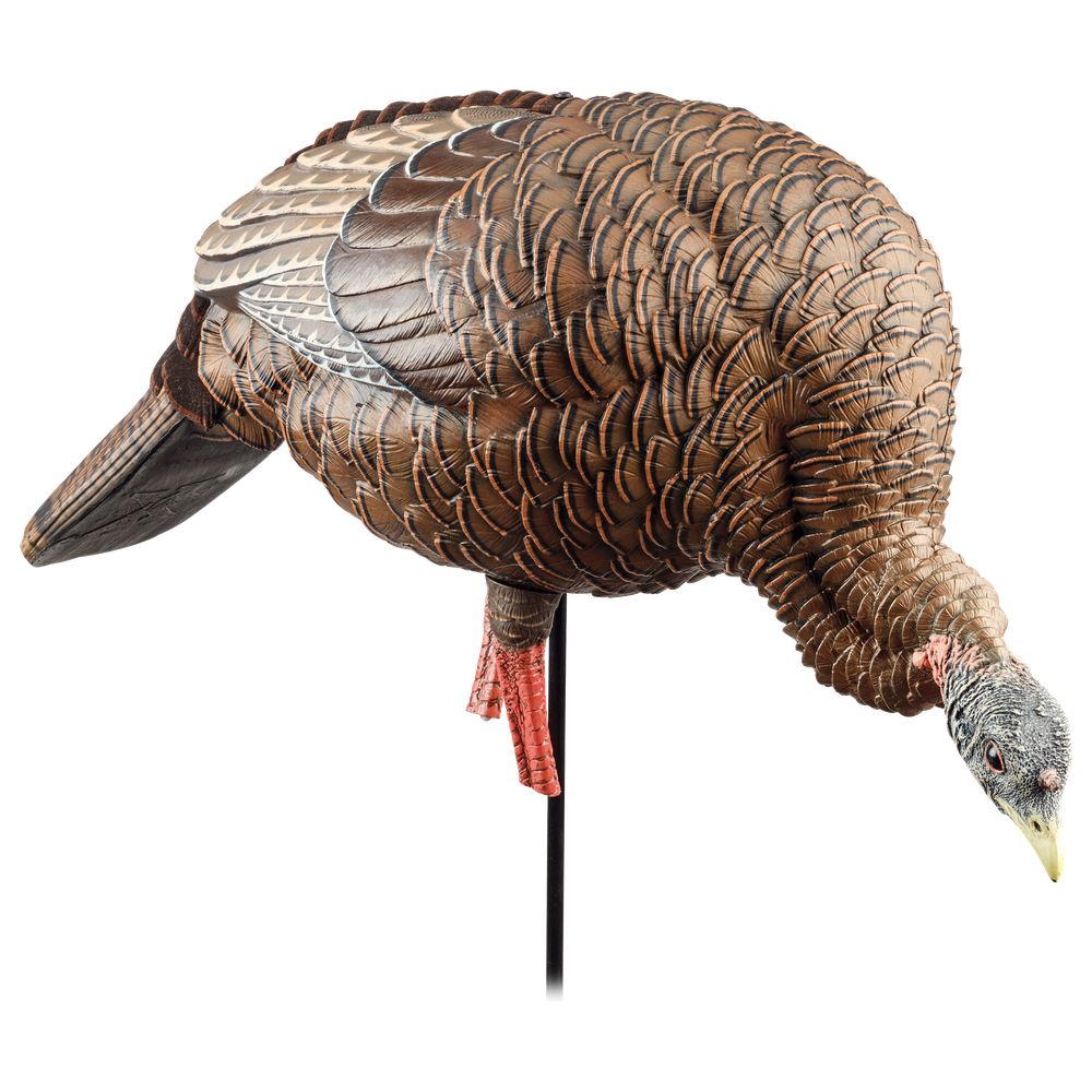 Avian X HDR Heavy Duty Realistic Full Body Hen Turkey Hunting Decoy - Perfect for Waterfowl Hunting, Turkey Calling, and Outdoor Wildlife Photography
