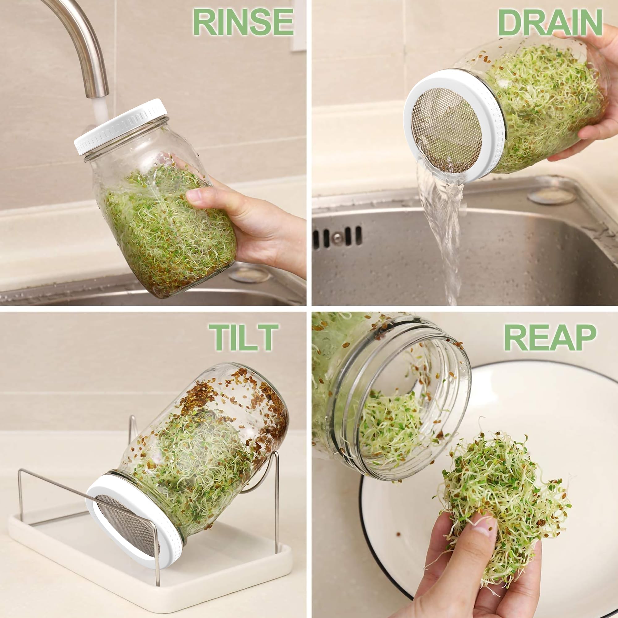Organic Seed Sprouting Kit - 2 Wide Mouth Mason Jars with Mesh Lids, Blackout Sleeves & Drain Tray | Stainless Steel Stand for Growing Bean, Broccoli, Alfalfa Sprouts | Perfect for Home Gardening, Healthy Snacks & Vegan Recipes (White)