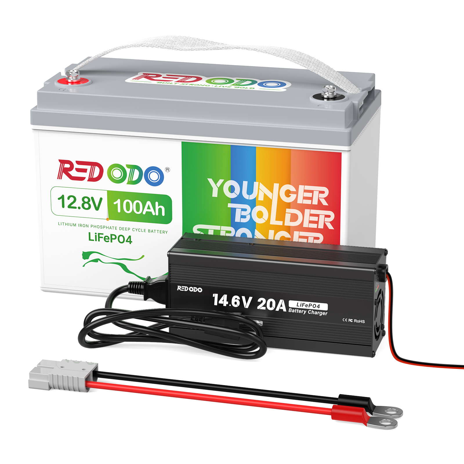 Redodo 14.6V 20A LiFePO4 Battery Charger for Golf Carts, RVs, Solar Systems - Fast Charging & Waterproof Power Supply