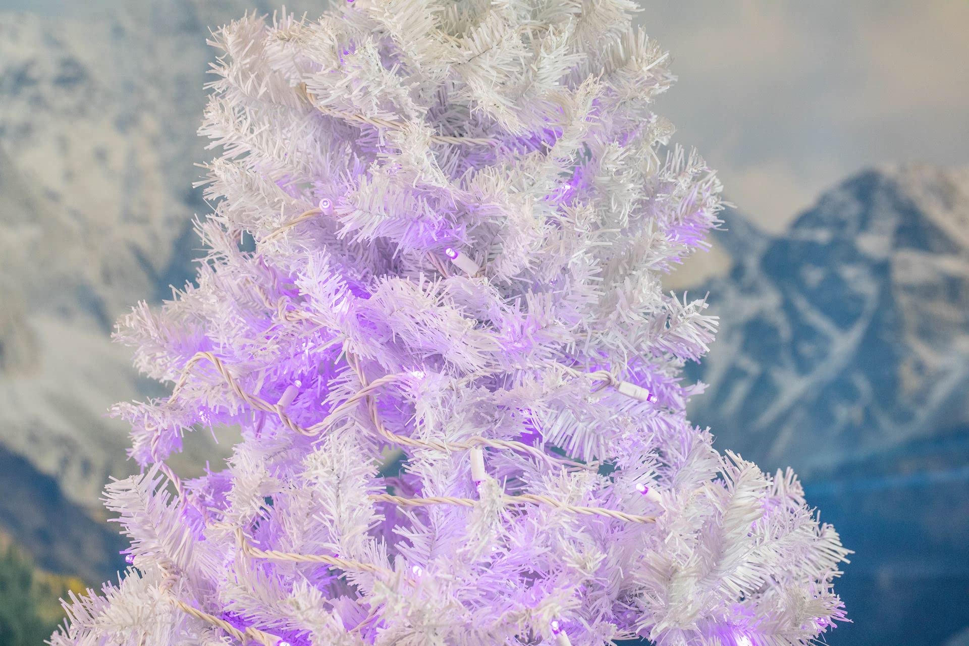 50 LED 11FT Purple Outdoor String Lights - Waterproof Decorative Fairy Lights for Yard, Garden, Patio & Christmas Decor - Perfect for Parties, Weddings & Holiday Lighting