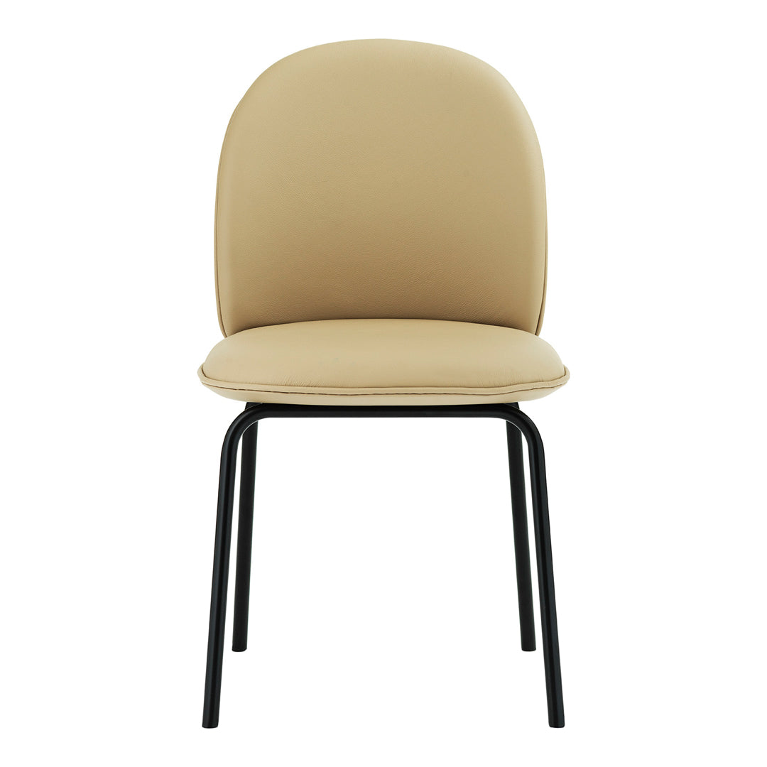 Ace Dining Chair - Modern Wooden Kitchen Chairs with Padded Seat - Set of 2 for Dining Room, Kitchen, Breakfast Nook & Home Office