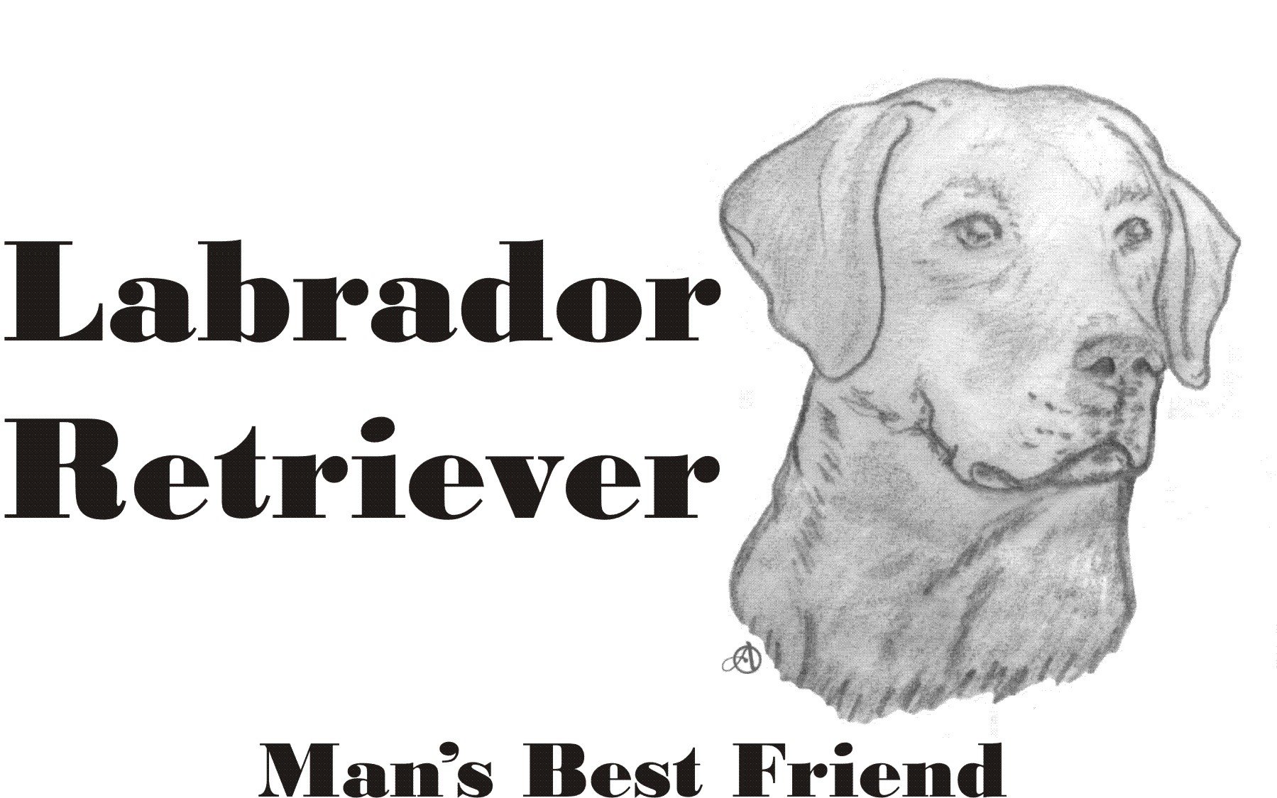 Cahoon's Closet Labrador Retriever T-Shirt for Men - Best Friend Dog Lover Gift - Perfect for Casual Wear, Dog Walks & Pet Owner Apparel