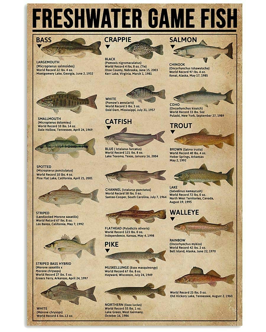 300-Piece Freshwater Game Fish Jigsaw Puzzle - Educational Toy for Kids & Adults - Perfect for Family Game Night, Classroom Activities & Cognitive Development - Unique Kitchen Gift Idea