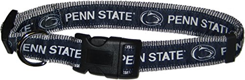Penn State Nittany Lions
