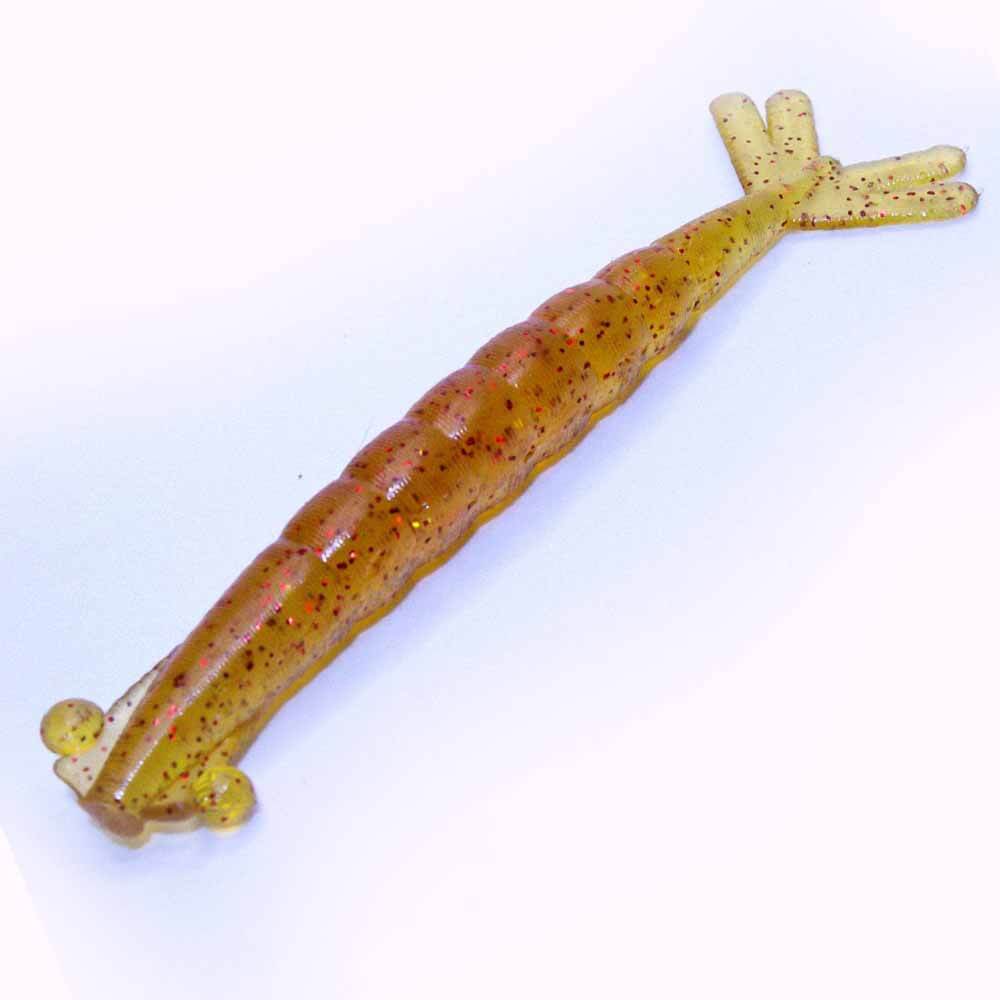 Thumper Shrimp 3 - Premium Freshwater Aquarium Shrimp for Fish Tanks - Perfect for Nano Tanks, Shrimp Colonies & Aquatic Plant Decorations