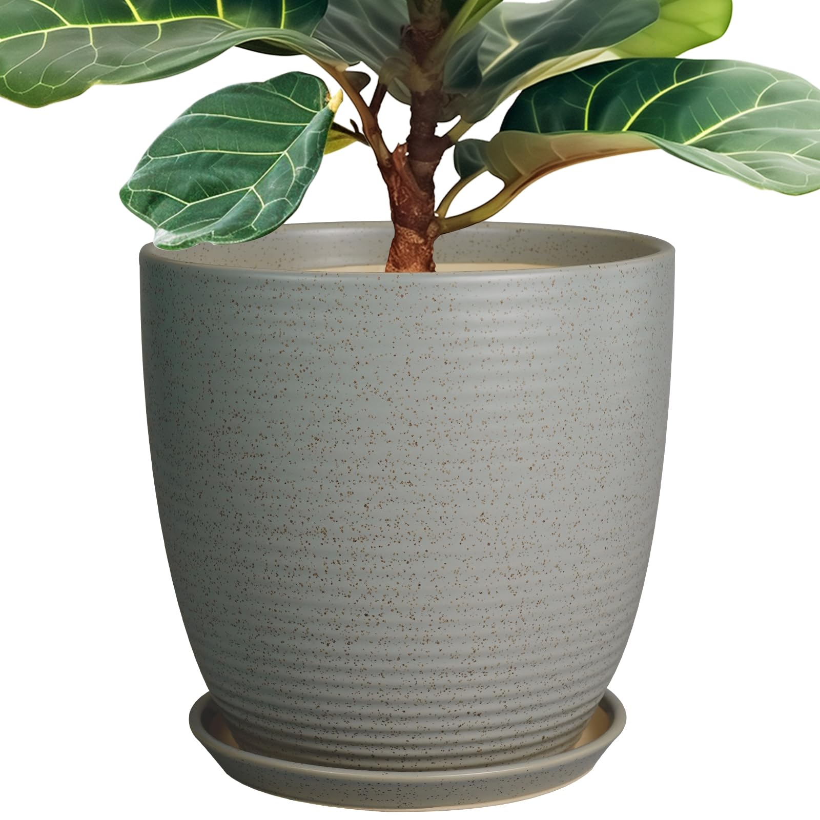 12 Inch Ceramic Plant Pot with Drainage Hole & Saucer - Large Round Indoor Flower Planter for Houseplants, Succulents, Herbs - Light Gray Home & Garden Decor for Living Room, Balcony, Office