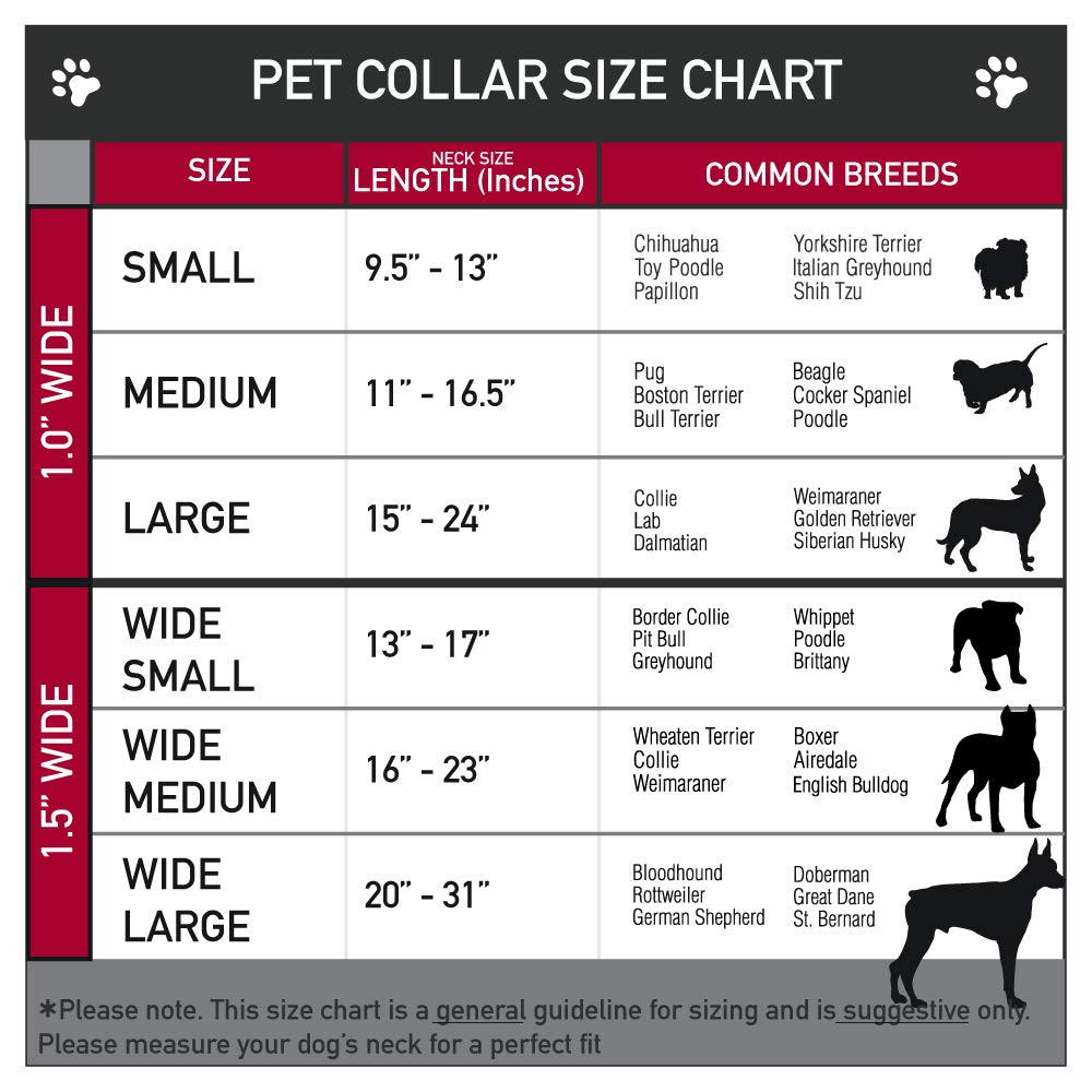 Bat Signal Dog Collar - 1.5