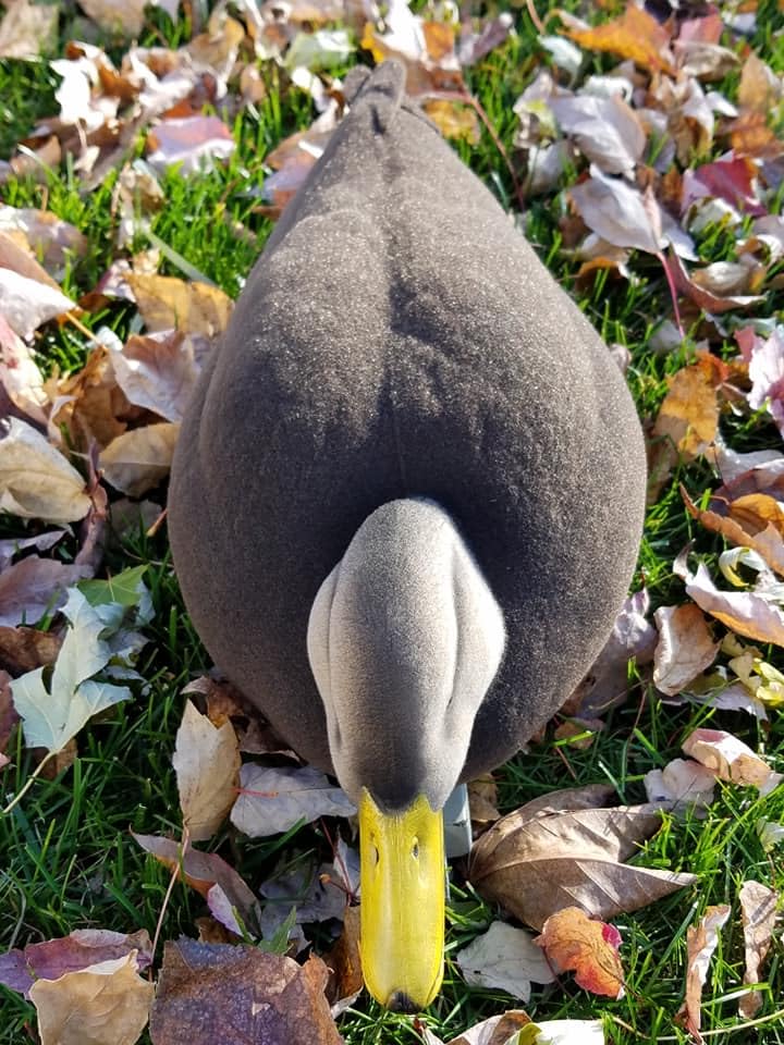 Premium Black Duck Full Body Flocking Kit for Lifelike Hunting Decoys – Perfect for Waterfowl Hunting & Outdoor Enthusiasts