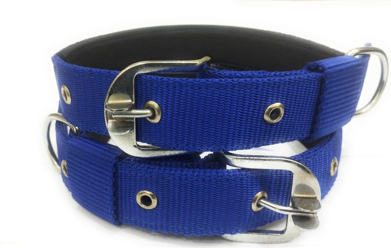 **JAPIN 1.25 Inch Comfortable Dog Collar Belts - 2 Pack Blue Adjustable Pet Neck Collar for Small Medium Dogs - Perfect for Daily Walks, Training & Outdoor Adventures**