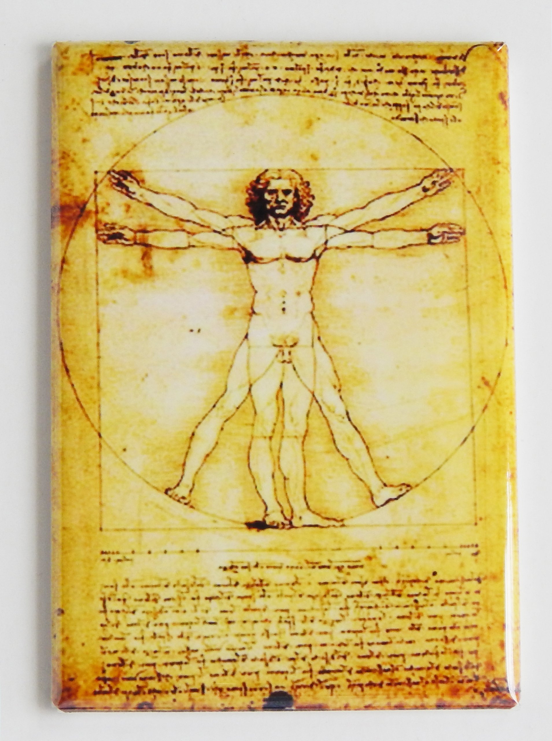 Vitruvian Man Fridge Magnet - 2.5 x 3.5 Inches - Leonardo da Vinci Inspired Art Magnet - Perfect for Refrigerators, Lockers & Office Decor