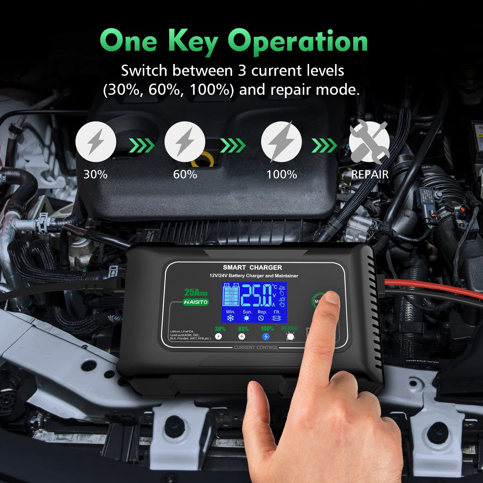 25Amp Smart Lithium Battery Charger - 12V/24V LiFePO4 & Lead-Acid (AGM/Gel/SLA) Charger with Maintenance Mode - Trickle Charger & Desulfator for Cars, Boats, Motorcycles, Lawn Mowers - Perfect for RV Camping & Marine Battery Maintenance