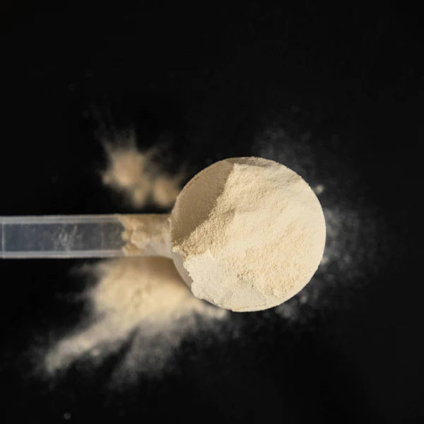 Naak Ultra Recovery Protein Powder - Vegan Post-Workout Recovery Drink for Athletes & Fitness Enthusiasts - Ideal for Muscle Repair After Training, Running & Sports