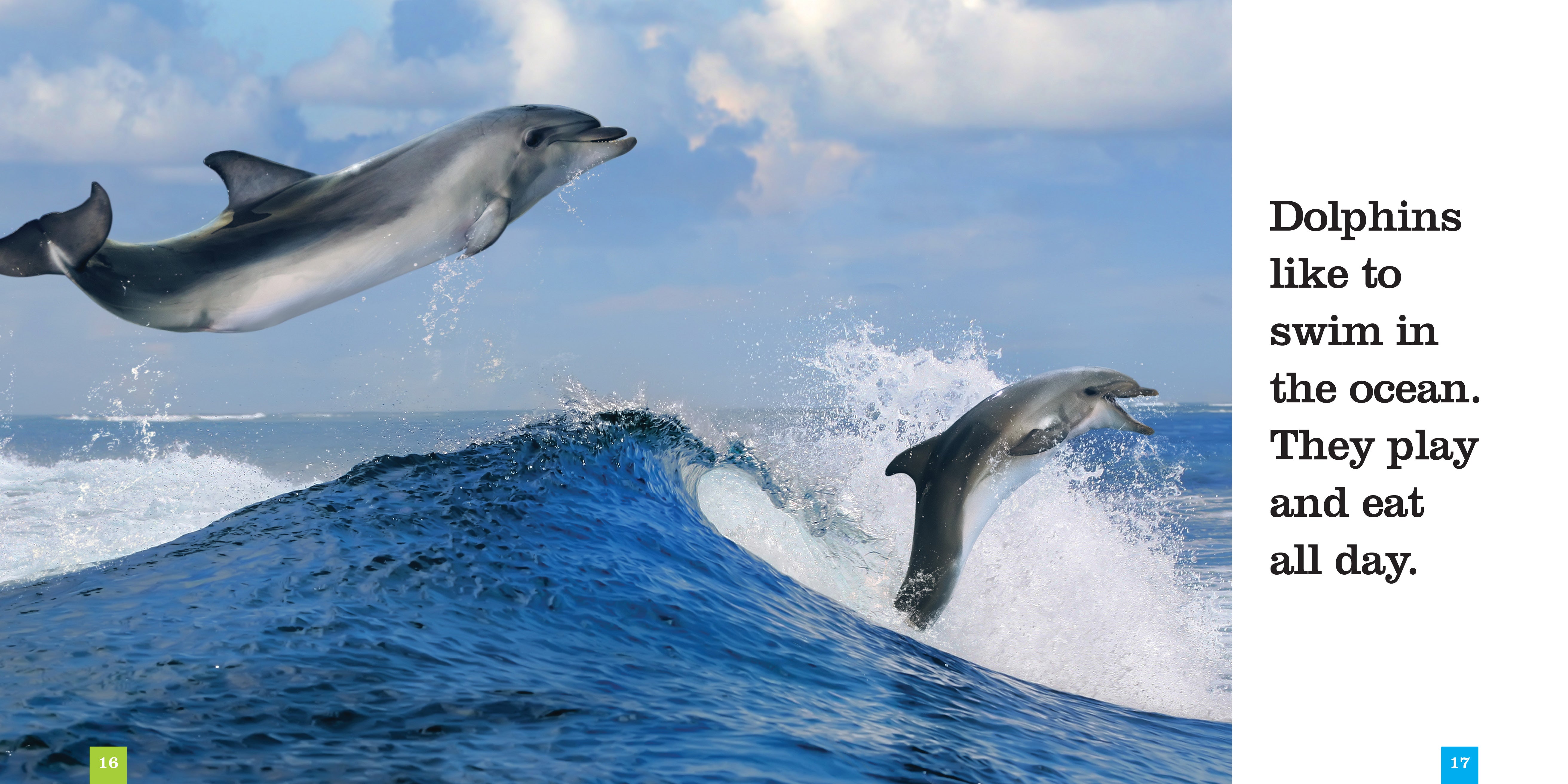 Dolphins Book ISBN 9781608182749 - Marine Life Guide for Kids & Adults, Perfect for School Projects & Ocean Enthusiasts