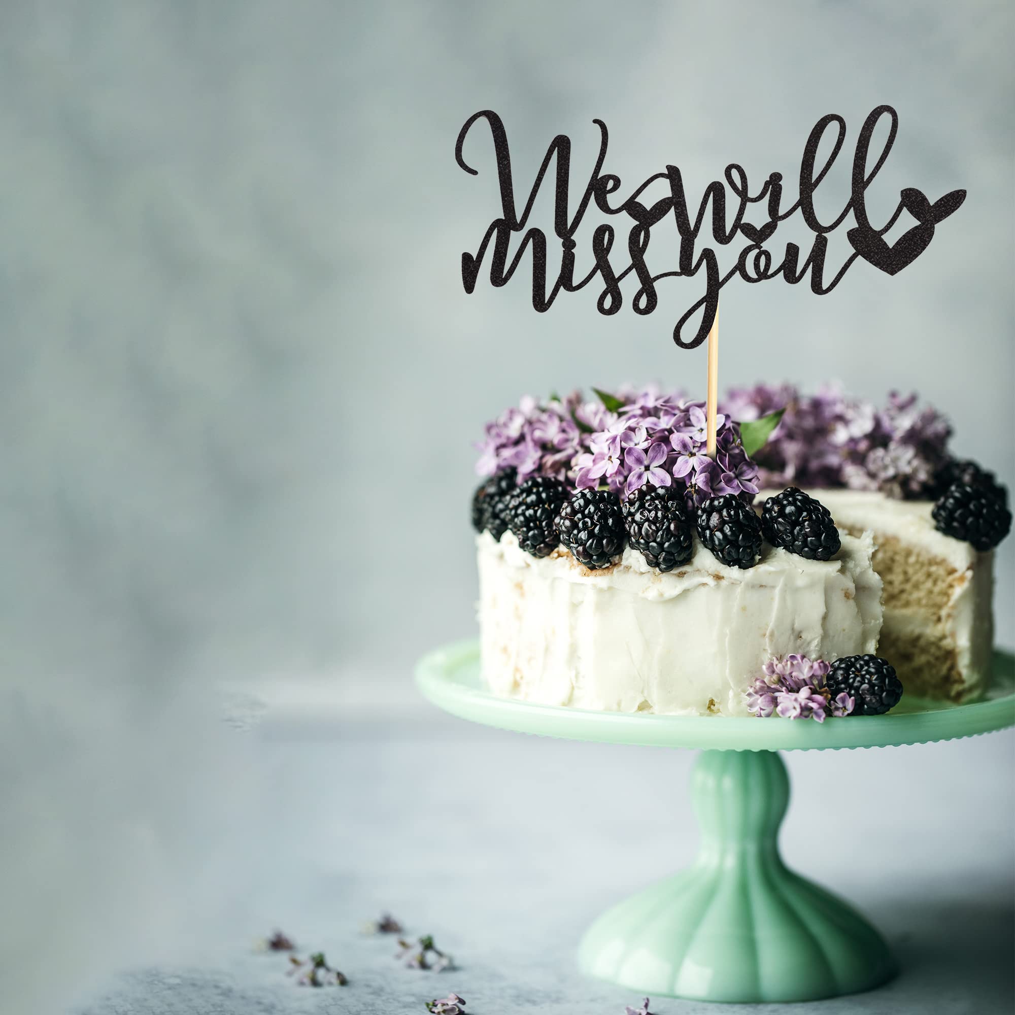 Farewell Cake Topper - Black Glitter 'We Will Miss You' Cake Decoration for Retirement, Graduation, Job Change Parties | Perfect for Office Goodbye, School Celebrations & Special Send-offs