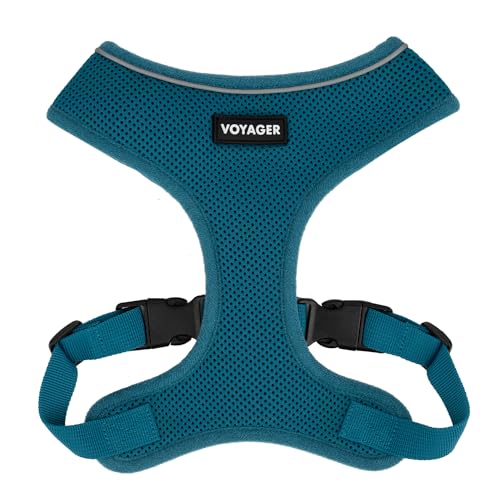 220 Style (Turquoise)