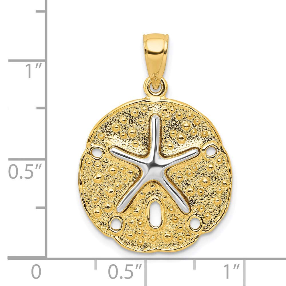 14k Gold Sand Dollar & Starfish Pendant - Beach Jewelry for Summer
