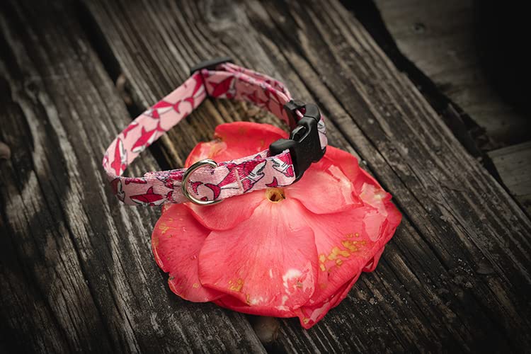 Country Brook Design - Pink Sharks Polyester Webbing Dog Collar, Leash & Pet Accessories - Durable Nylon Material for Small & Medium Dogs - Perfect for Walks, Training & Outdoor Adventures
