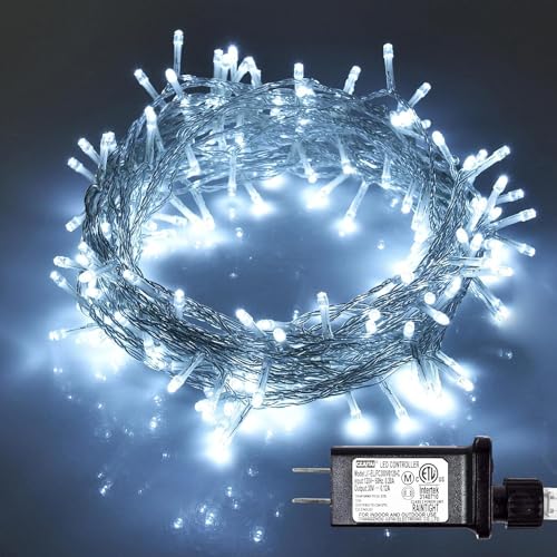 300Led-Cool White