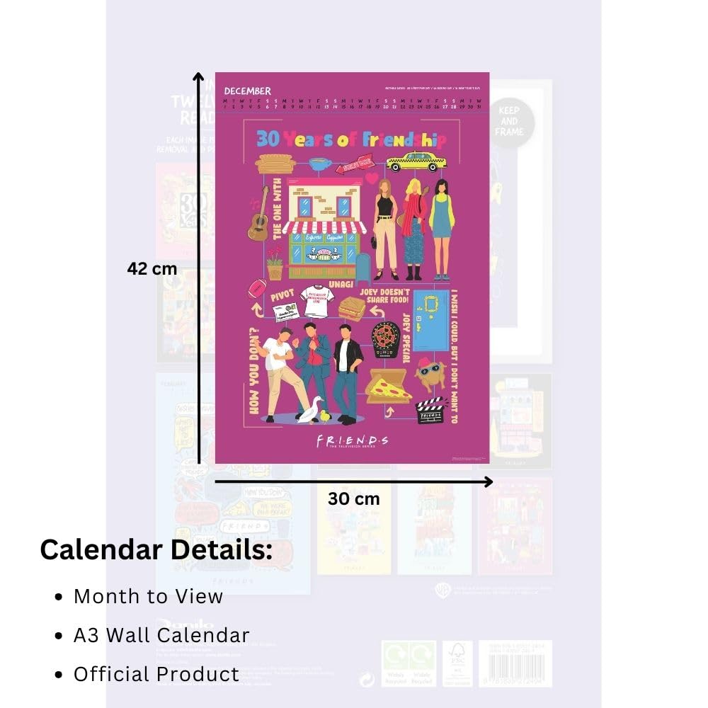 2025 Friends TV Show Wall Calendar - 12-Month A3 Deluxe Hanging Calendar with Spiral Binding | Perfect for Office, Home Decor & Fan Gifts