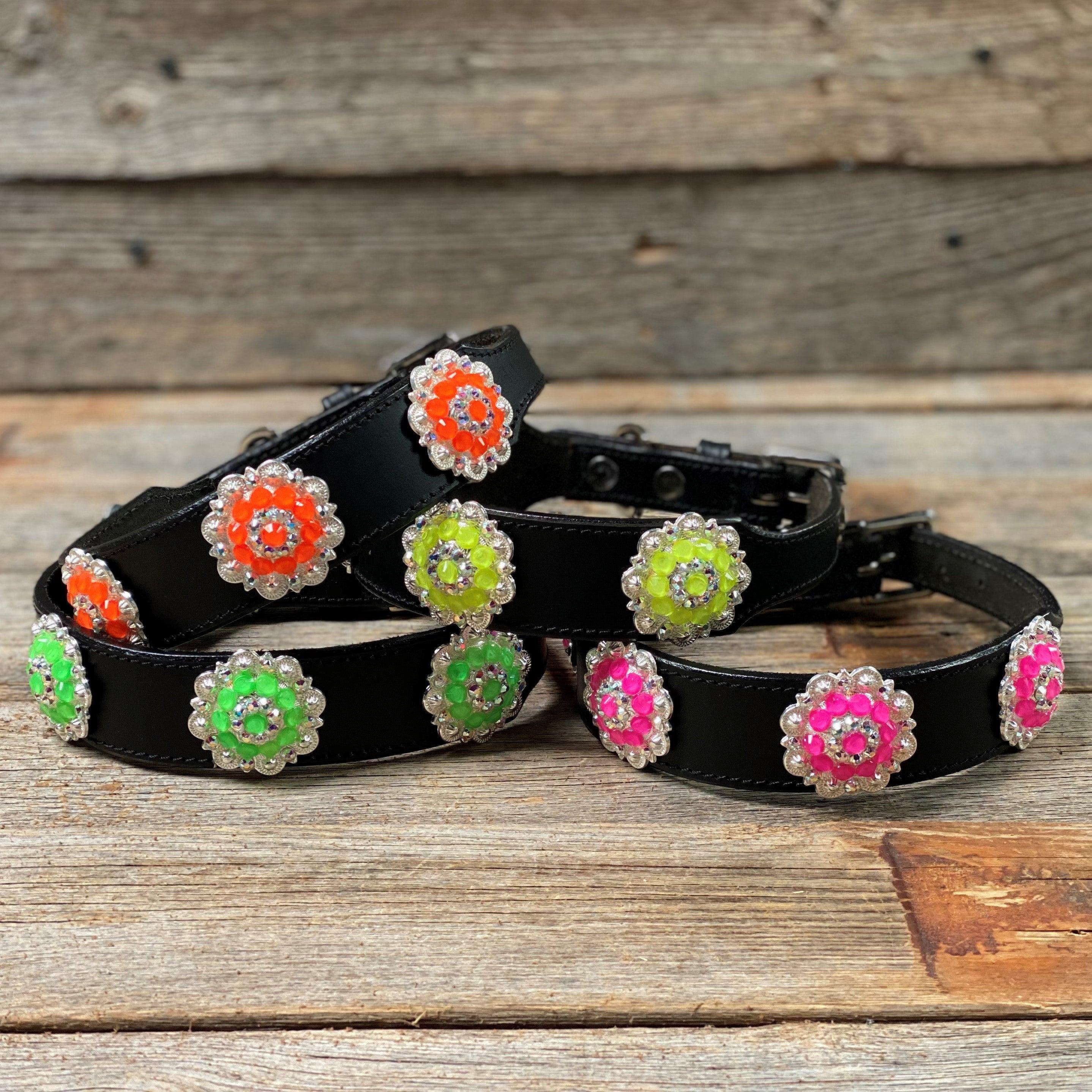 DC18 Neon Concho Dog Collar - Reflective & Durable Pet Collar for Small Medium Large Dogs - Perfect for Night Walks, Training & Outdoor Adventures