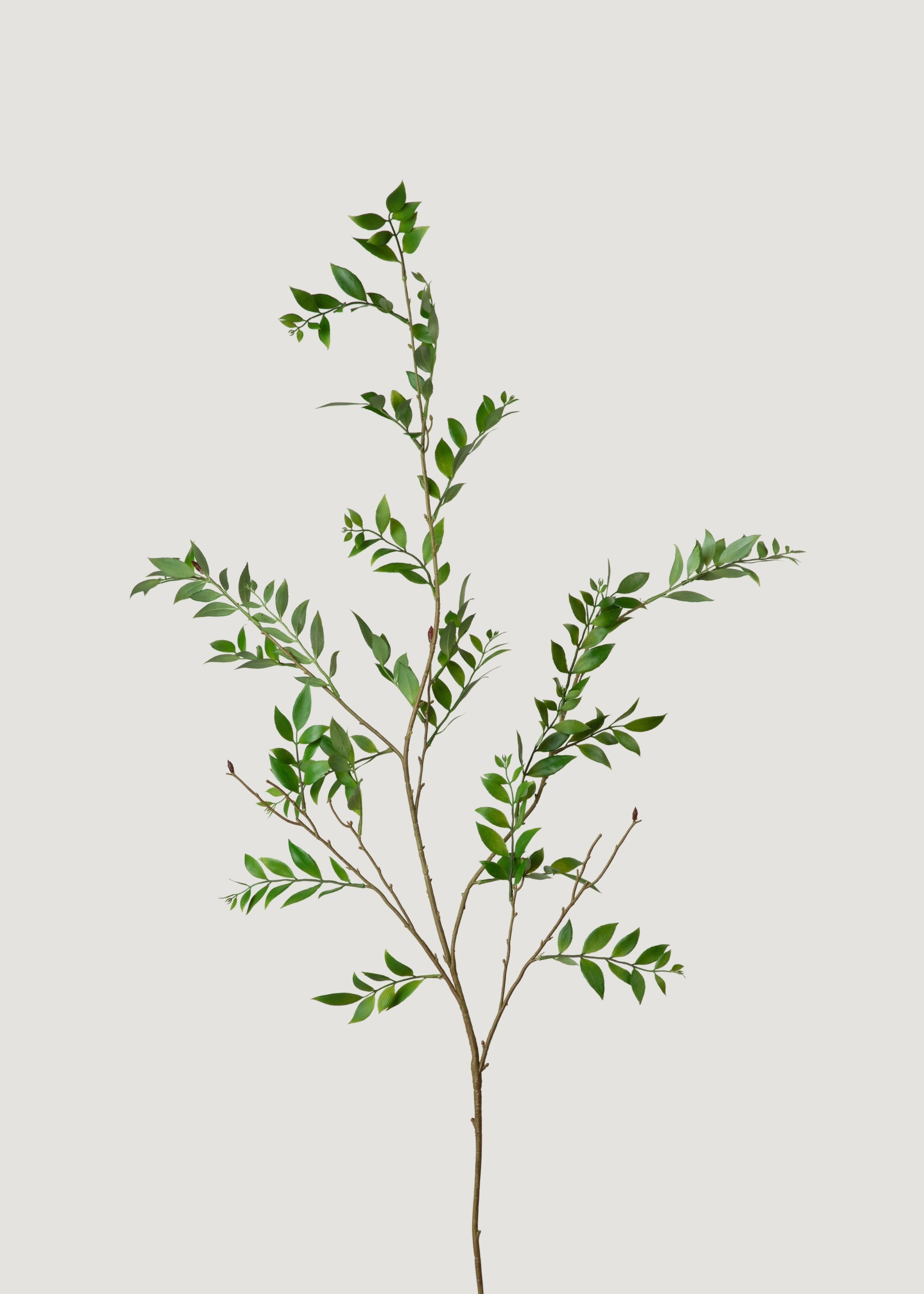 55 Inch Tall Artificial Broadleaf Podocarpus Branch - Realistic Fake Greenery for Home Decor, Wedding Centerpieces & Office Plants