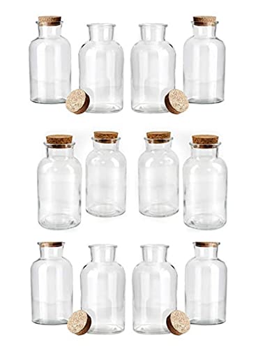 Small, Set of 12