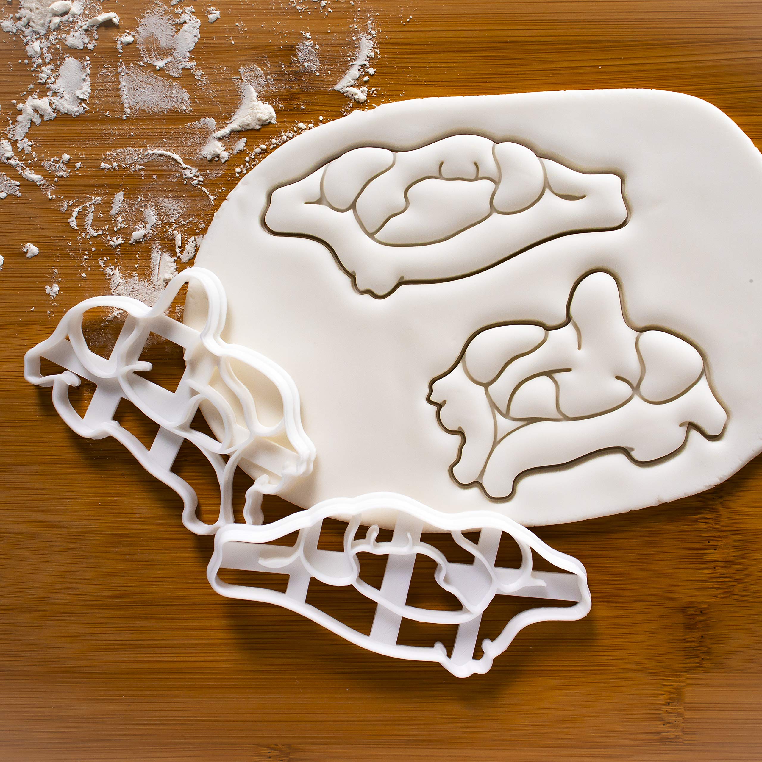 2-Piece Vertebra Cookie Cutters Set - Atlas & Axis Designs for Baking | Perfect for Halloween, Science-Themed Parties & Unique Gifts