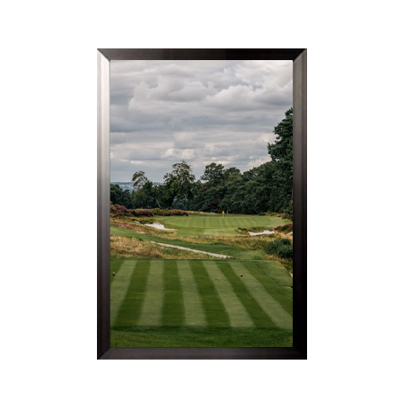 14x22 Poster Frame - Carbon Steel Swing Frame for Wall Display - Perfect for Home, Office, and Gallery Decor