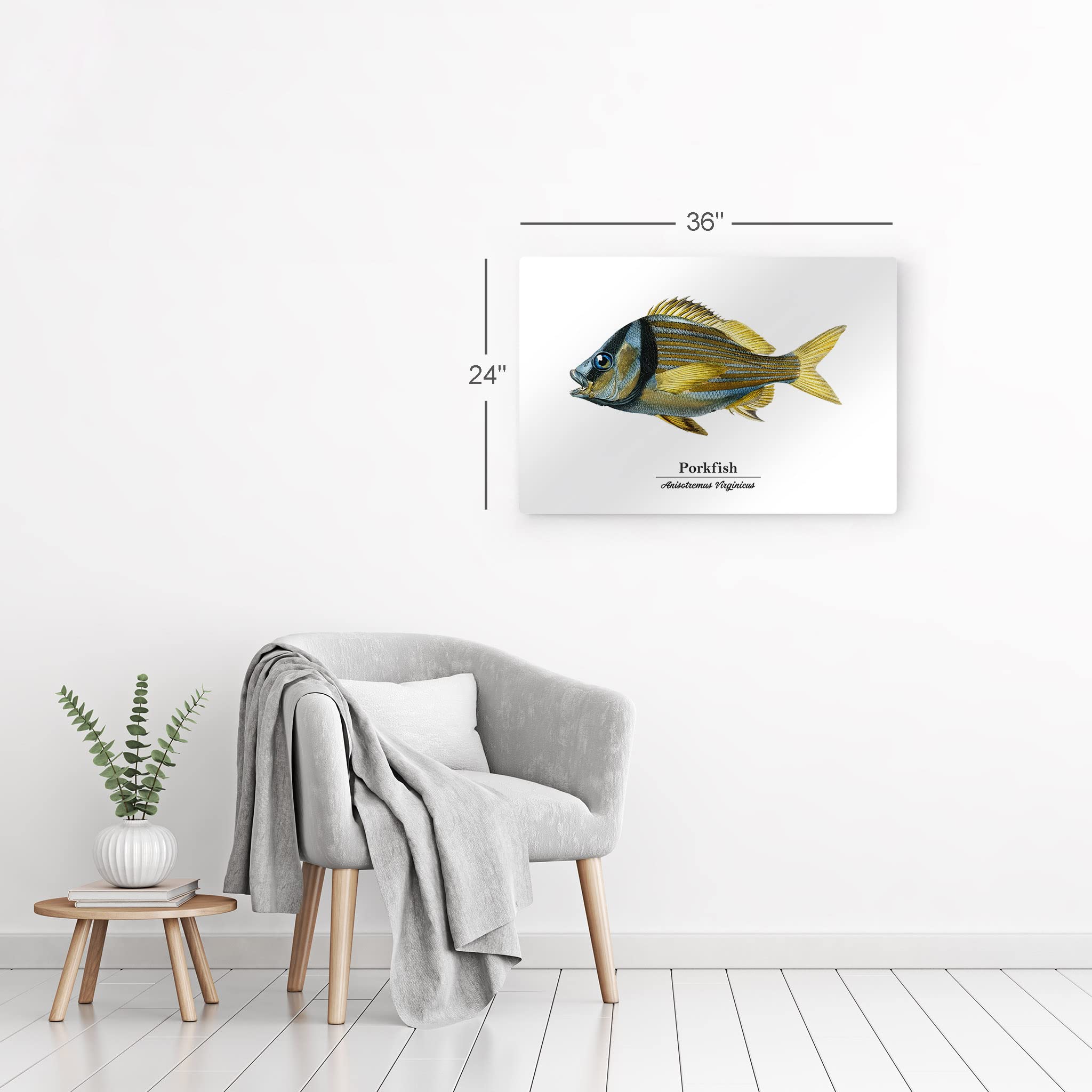 Smile Art Design Porkfish Anisotremus Virginicus Metal Wall Art - 30x40 Inch Ocean Themed Fish Painting for Coastal Decor, Nautical Bedroom, Living Room & Kids Room - Made in USA | Perfect for Beach House, Fishing Lodge & Marine Lover's Home Decor
