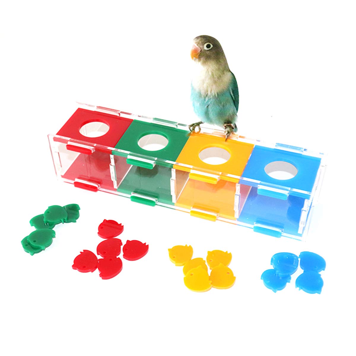 Yunnyp Parrot Training Toy Coin Box - Interactive Bird Intelligence Toy with Colorful Coins for Parrots, Cockatiels & Lovebirds | Perfect for Foraging, Training & Mental Stimulation