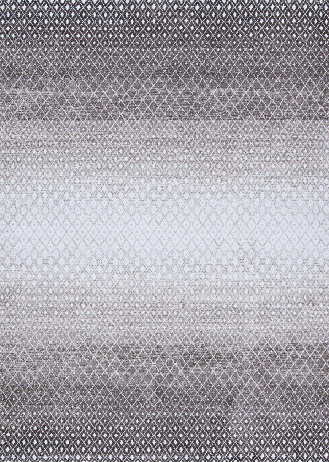 Couristan Nomad Aheri Handwoven 2' x 3'7