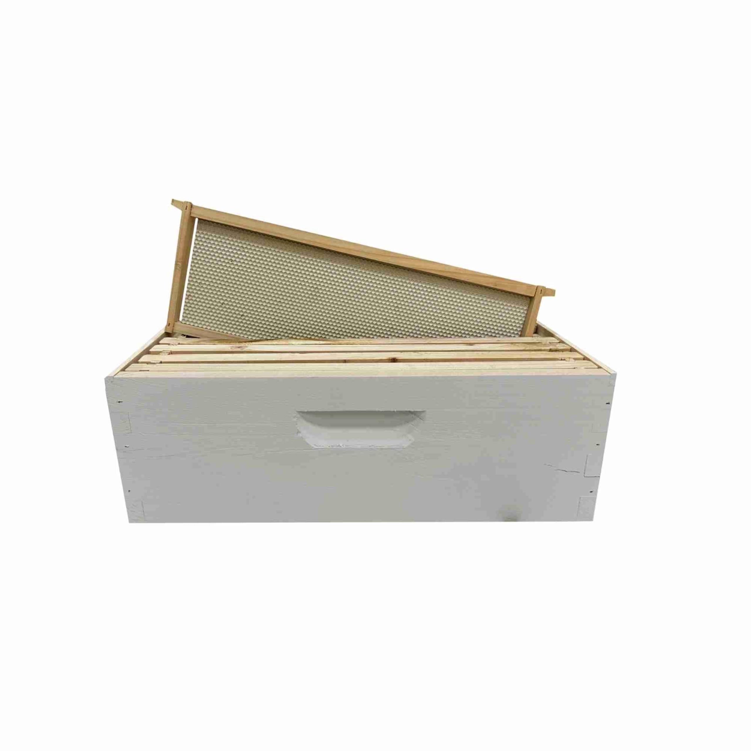 Harvest Lane Honey Medium Wooden Beehive Box with Frames & Foundation - Perfect for Beekeeping, Honey Production & Backyard Hives